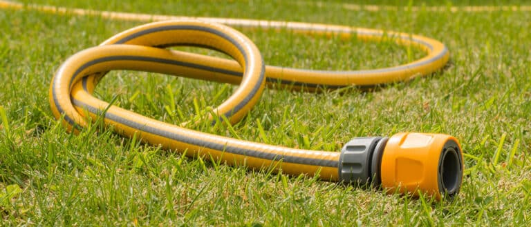 Image of garden hose in backyard.
